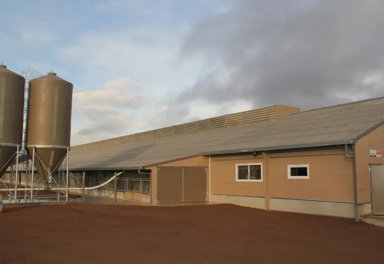 <em class="placeholder">Dix-huit poulaillers ont été construits en 2025 et quarante bâtiments le seront en 2026.</em>