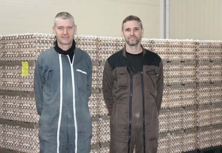 <em class="placeholder">Christophe (à gauche) et Joël Bideau veillent à tous les paramètres pour que les poules se portent bien le plus longtemps possible.</em>