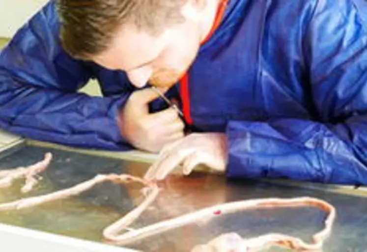 formation coccidiose Elanco
