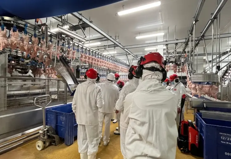 <em class="placeholder">SBV a engagé un programme d’investissement de 60 millions d’euros pour augmenter de 100 000 poulets par semaine sa capacité hebdomadaire d’ici 2028.</em>