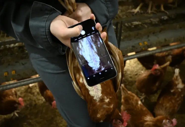 <em class="placeholder">L’outil testé à partir d'images par Smartphone permet une précision de 72% de détection de déviation par rapport au scanner.</em>
