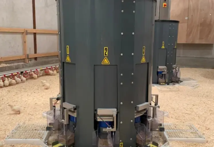 <em class="placeholder">Les poulets ont eu accès à deux aliments différents, distribués par la mangeoire électronique BIRDe.</em>