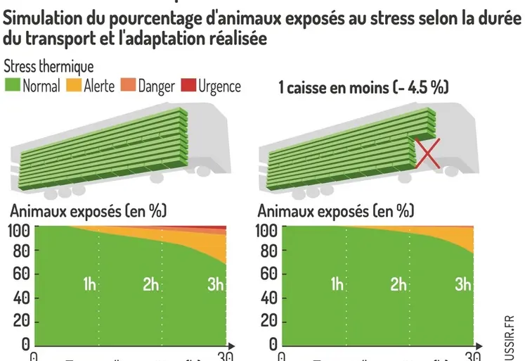 <em class="placeholder">Graphique = Retirer une caisse à l'avant du camion réduit le stressdes volailles en transportSimulation du pourcentage d'animaux exposés au stress selon la durée du ...</em>