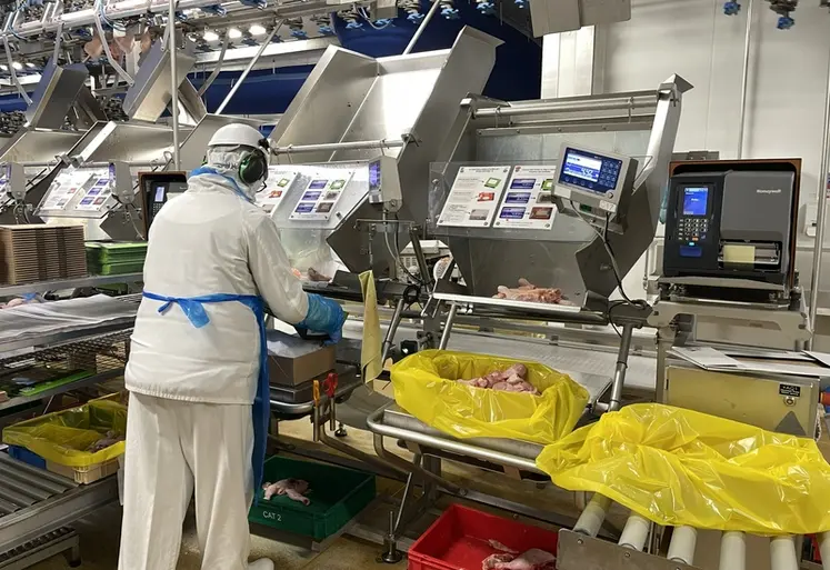 <em class="placeholder">Avec son projet Niagara, LDC veut développer ses capacités industrielles dédiées au poulet du quotidien et aux produits élaborés, actuellement saturés.</em>