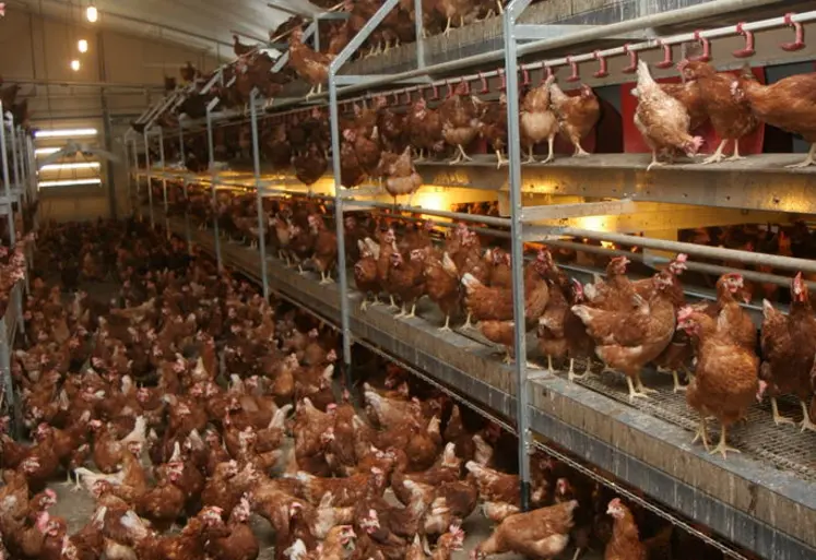 <em class="placeholder">-	Provimi conseille l’apport d’un antioxydant contre le vieillissement prématuré des cellules et un hépato protecteur par cure afin de soutenir le foie et limiter ...</em>