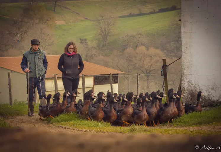 <em class="placeholder">Sabrina Larzabal et Julen Perez et leurs canards mulards Kriaxera</em>