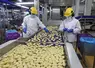 L’usine Cargill fabrique 40 000 tonnes de produits panés, avec 250 personnes se relayant nuit et jour, sauf le week-end.