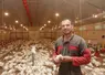 Passé du lait à la volaille, Emmanuel Rochelle n'envisageait pas de faire le saut vers une production de poulet conventionnel.