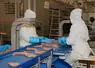 <em class="placeholder">Sur le site de poulet lourd de Languidic, 100 % des produits sont au minimum désossés, voire découpés en pièces et calibrés.</em>
