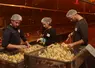 <em class="placeholder">L&#039;accompagnement par l&#039;Etat de  la prochaine campagne de vaccination des canards contre l&#039;IAHP pourrait passer sous la barre des 40% (contre 70%). La mutualisation du coût ...</em>