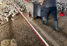 <em class="placeholder">La litière tombe par gravité par deux trappes de chaque côté (débit réglable selon l’ouverture des trappes).</em>