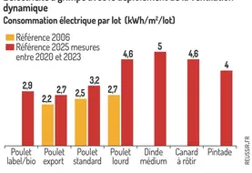 <em class="placeholder">Graphique = L’électricité a grimpé avec le déploiement de la ventilationdynamiqueConsommation électrique par lot (kWh/m2/lot)</em>