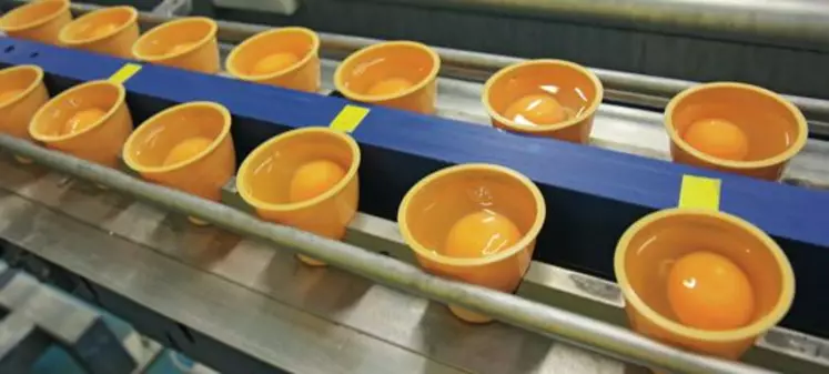 Sur la chaîne de fabrication,
les coquetiers remplis exclusivement d’un œuf entier vont subir un operculage et
une pasteurisation. Le projet Coq’œuf a mis deux ans à éclore.