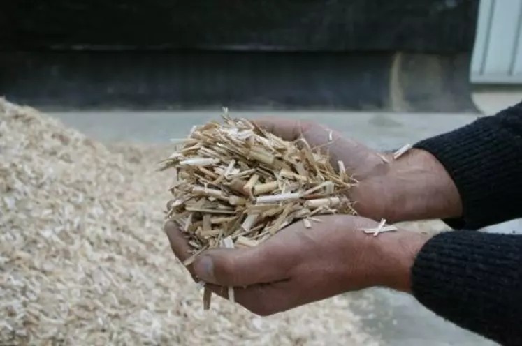 Copeaux de miscanthus.