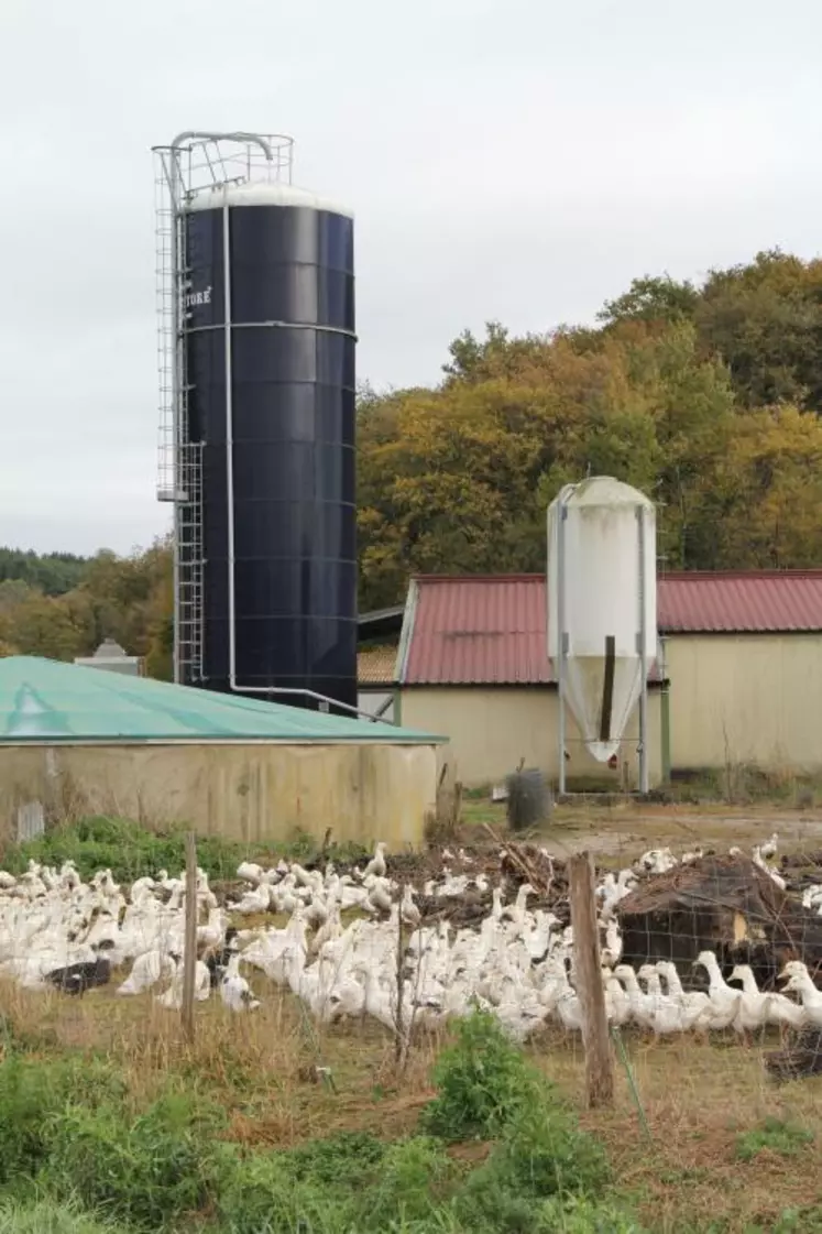 À la limite des Pyrénées-Atlantiques et des Landes, l’exploitation Carrère produit et commercialise 20000 canards gras par an.