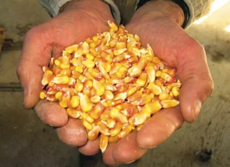 Le grain « inerté » conserve
sa fraîcheur initiale jusqu’à
la réouverture du contenant.