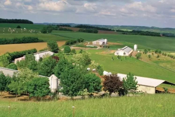 Élevage label dans 
le Gers.  Il faut former 
et professionnaliser 
les éleveurs, et renouveler 
le parc régional pour 
rester compétitif.