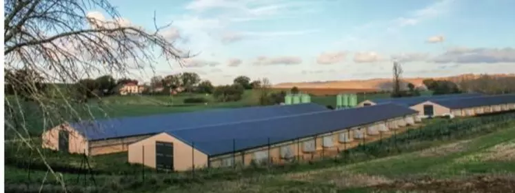 Pour contourner les oppositions locales, seuls deux sites de quatre bâtiments ont vu le jour. D’ici peu,
les plantations les intégreront au paysage pour les rendre presque
invisibles.