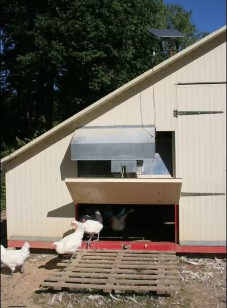 Production de poulet de Bresse.
