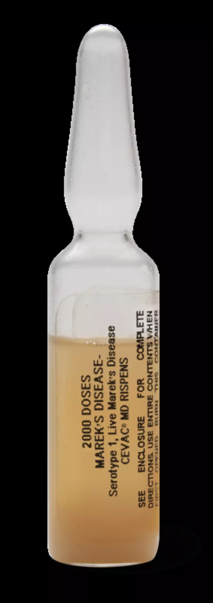 Cevac MD Rispens est commercialisé sous forme d'ampoules de 2000 doses conservées dans l'azote liquide. © Ceva