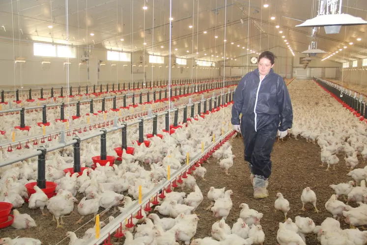 Après une première année en poulet, Karine Ruault souhaite passer à la dinde. © A. Puybasset