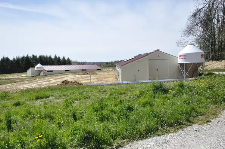 Avec trois bâtiments neufs de 150 m2, la ferme du Limousin a pour l’instant la capacité d’abriter 4500 volatiles dans quatre bâtiments. © S. Bouzon