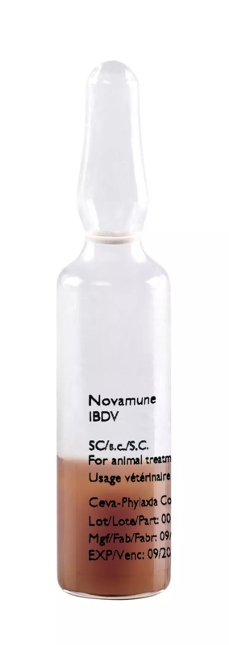 Novamune se présente sous la forme d’une suspension congelée à diluer dans un solvant avant l’injection (0,2 ml/oiseau d’un jour). © Ceva santé animale