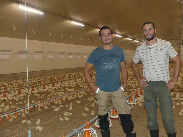 Cyril et Maxime Dochier élèvent des lots de 44 000 poulets standard depuis février 2019. « Ce que nous recherchons, c’est la performance », résume l’aîné de la fratrie. © A. Priolet
