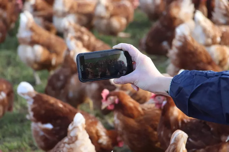 Une troisième vidéo, sur la santé des poules, sera diffusée  sur la chaîne YouTube Plein les Y’œufs. © V. Bargain