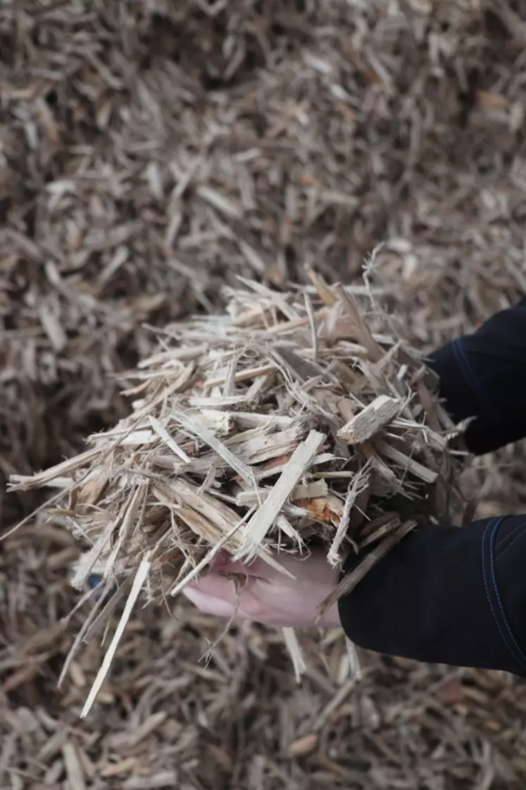 Le bois issu de palettes recyclées permet de produire une calorie compétitive  © P. Le Douarin
