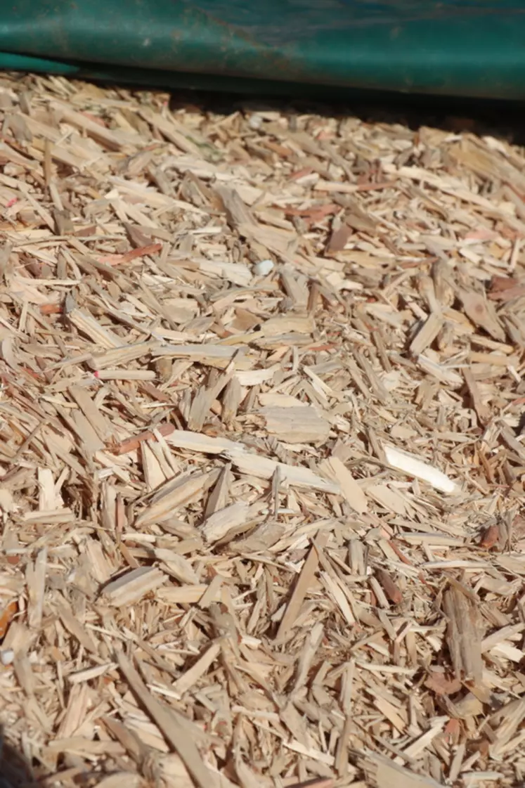 En se fournissant auprès d’une usine de transformation de bois, l’éleveur réduit considérablement le temps de retour de son investissement © P. Le Douarin