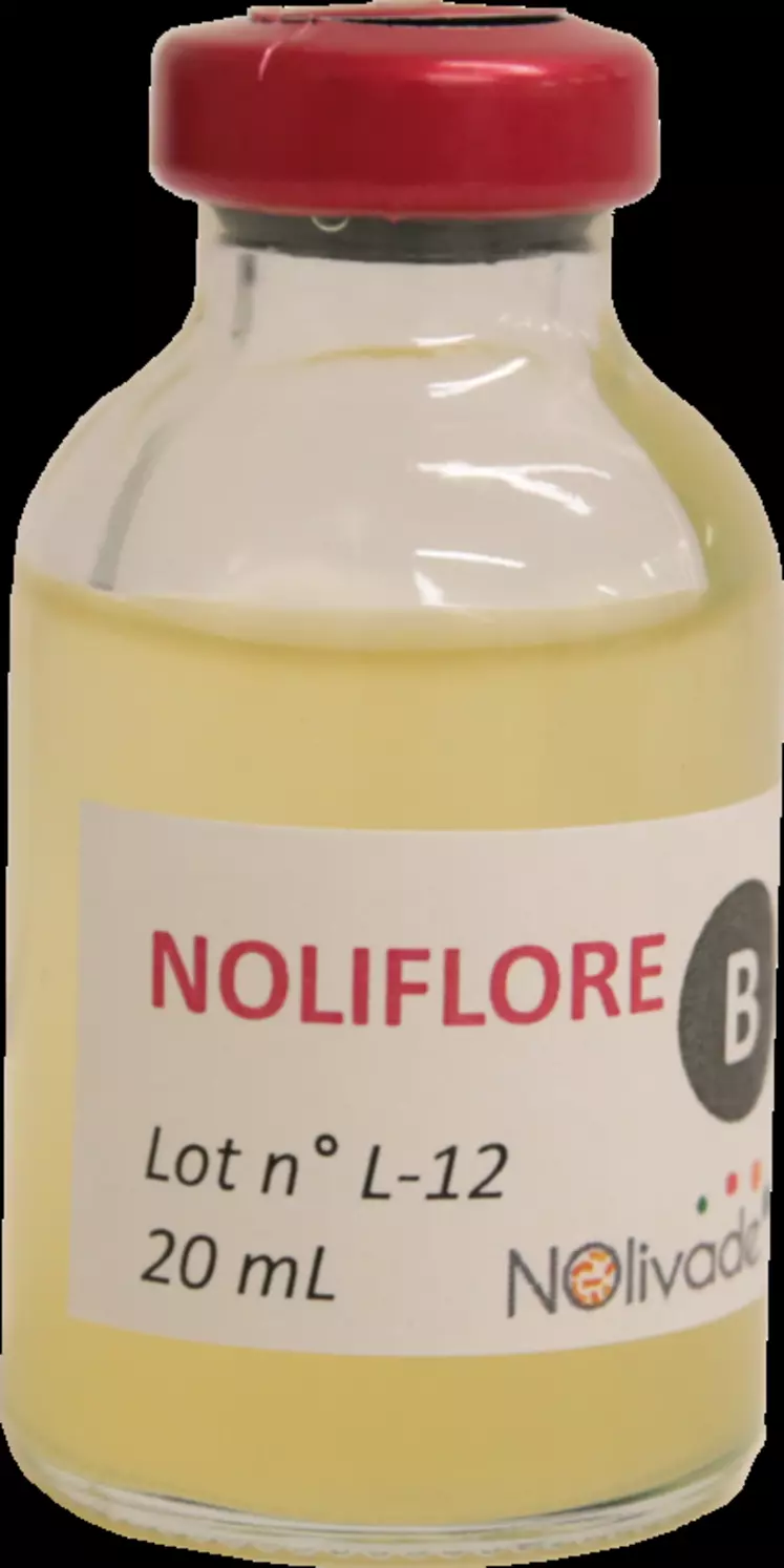 Noliflore est appliqué à l'aide d'un pulvérisateur dédié, fourni avec le premier kit commandé.  © Avril