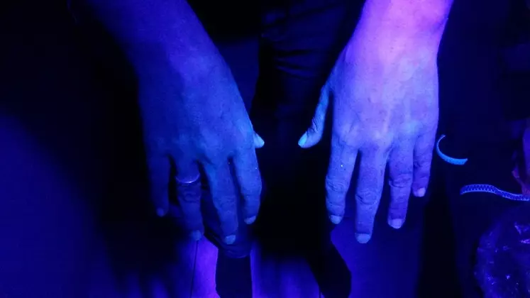 Après le lavage des mains, la lampe UV indique si des zones ont été mal lavées. Ici, un lavage correct.  © Claire Jacquinet et Amandine ...