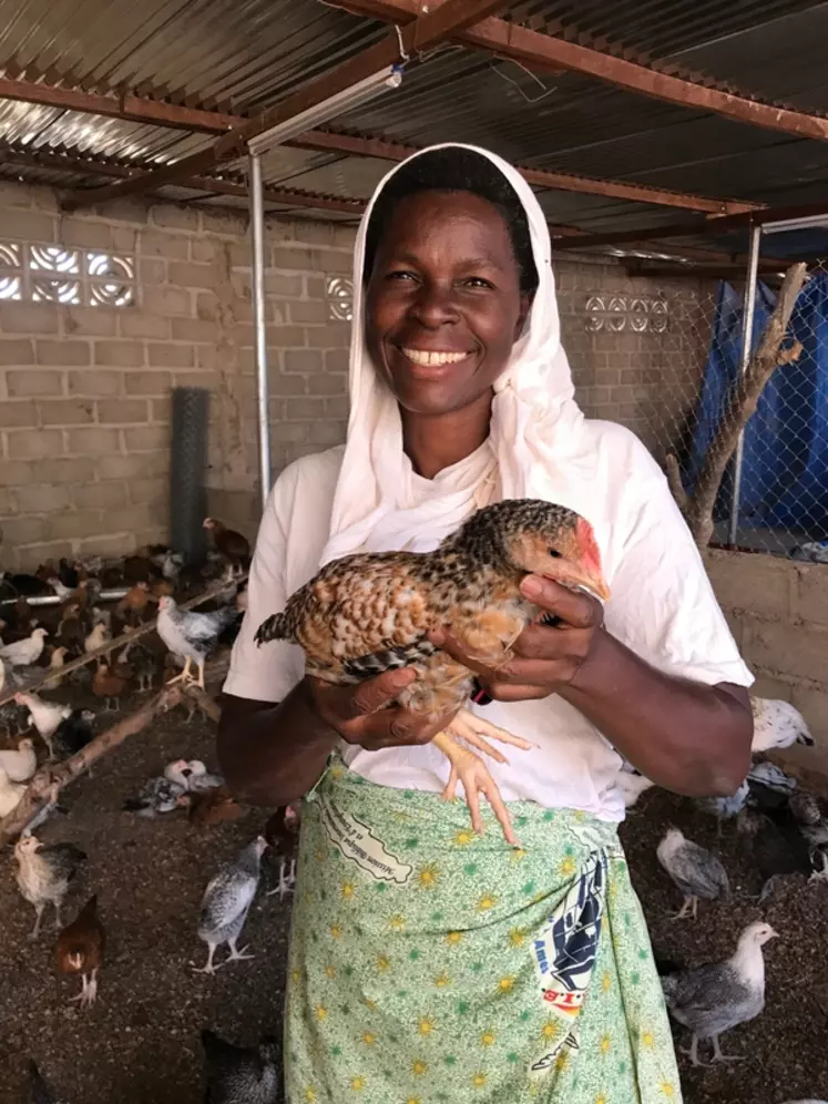 Une "mother unit" au Burkina Faso. Les poussins à double fin sont élevés pendant 5 à 6 semaines chez des fermiers démarreurs, en conditions maîtrisées. Unité de démarrage chez une fermière burkinabaise. mother unit Burkina Faso © L. Perrault