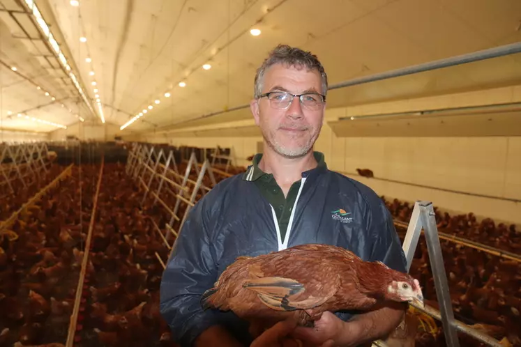 Vincent Troel a redécouvert son métier d'éleveur de poulettes. « Se mettre en conformité avec les nouvelles règles bio ne doit pas effrayer. » © P. Le Douarin