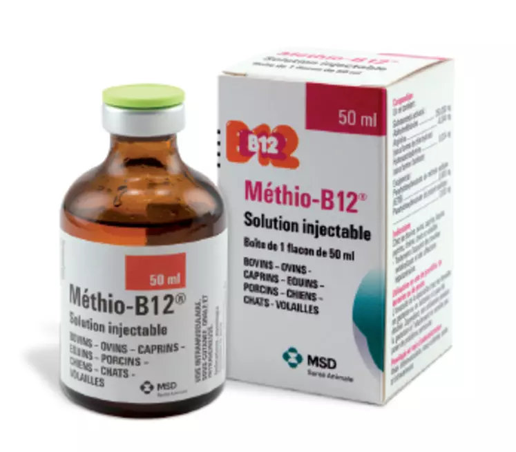 Methio B12 est de nouveau disponible sur le marché vétérinaire après cinq ans d'absence. © MSD Santé Animale