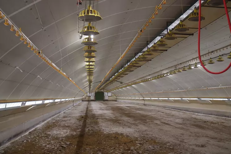 Prévus pour être en ventilation statique, les derniers tunnels Duc construits ont été dynamisés pour produire du  poulet de souche Ross © P. Le Douarin