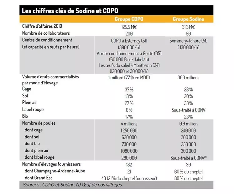Les chiffres clés de Sodine et CDPO  © Infographie Réussir