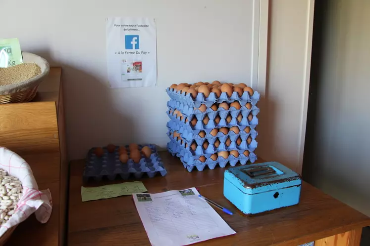 10% des œufs sont vendus en libre-service, sans aucun vol. © V.Bargain