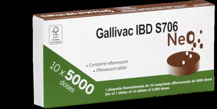 Le vaccin Gumboro Gallivac IBD S706 NeO se présente sous forme de comprimés effervescents, conservés au réfrigérateur.  © Boehringer Ingelheim