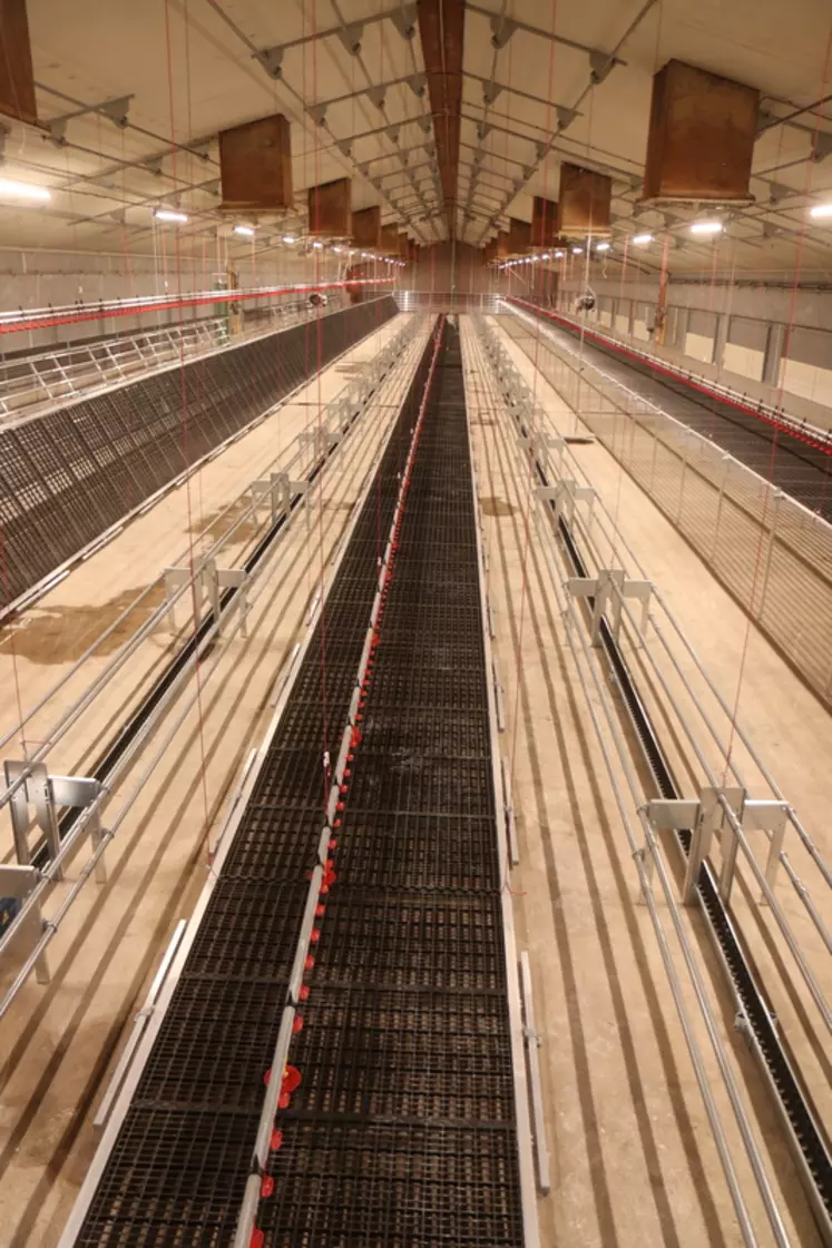 Le plateau Poulivol relevable jusqu'au plafond est spécialement destiné aux poulettes  © P. Le Douarin