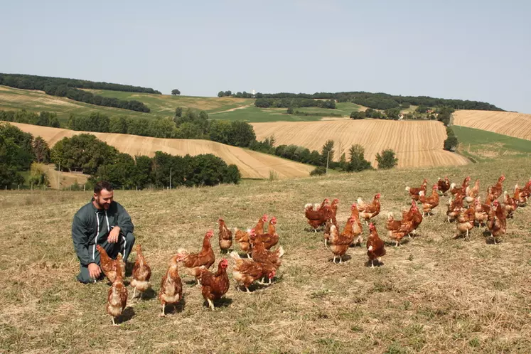 Sylvain Dusseau avec ses poules pondeuses (avant le confinement lié à l’influenza aviaire).Avec un suivi soutenu, l'éleveur a produit 330 œufs par poule dès son premier lot. © Vivadour