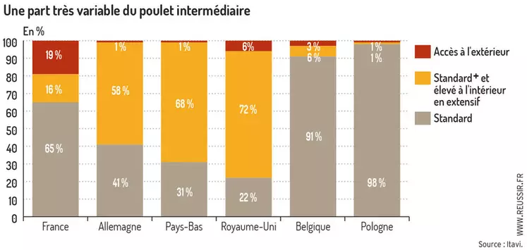 La segmentation française du marché du poulet est atypique en Europe. Plus de la moitié du standard