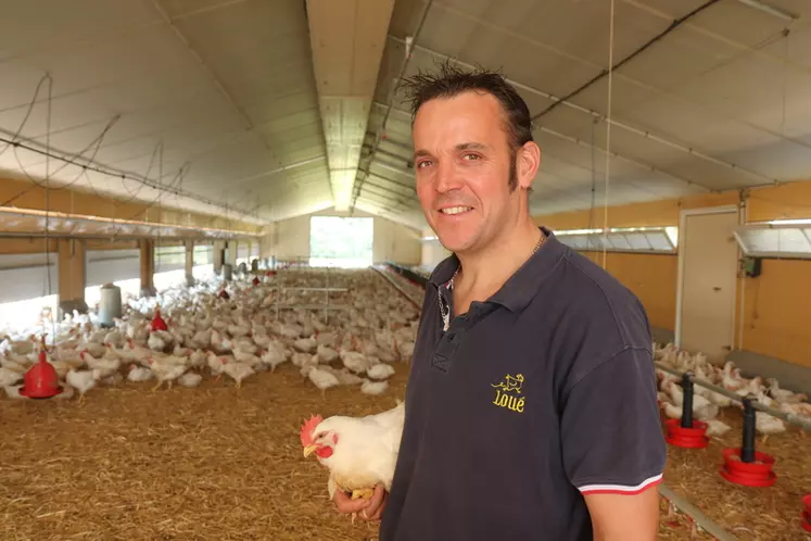 Yohann Girault, éleveur à Avessé (Sarthe) apprécie le comportement actif du poulet Plein Champ qui requiert plus de suivi technique qu'un poulet label rouge.