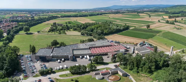 Depuis cette année, l’abattoir situé à Ergersheim, à l’ouest de Strasbourg, a recentré 100 % de son activité sur le poulet.