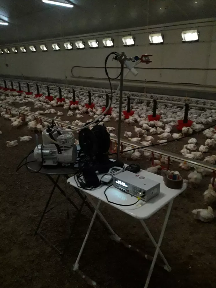 Le dispositif de prélèvement a été mis en place dans 31 élevages de poulets.