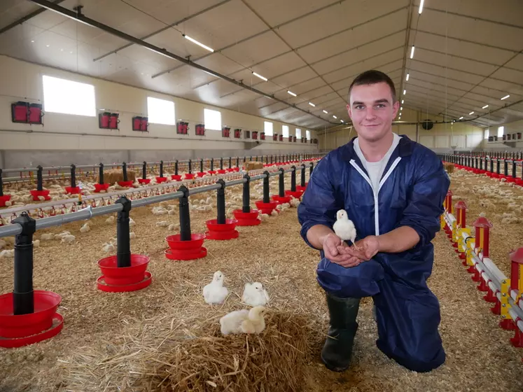 Théo Ripoche, 23 ans, s'est installé avec un nouvel atelier avicole pour diversifier l'exploitation bovine.