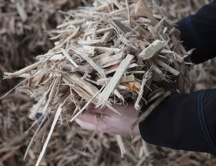 Les éleveurs bretons ont besoin d’un vrai coup de pouce pour utiliser plus de bois comme combustible de remplacement du gaz.