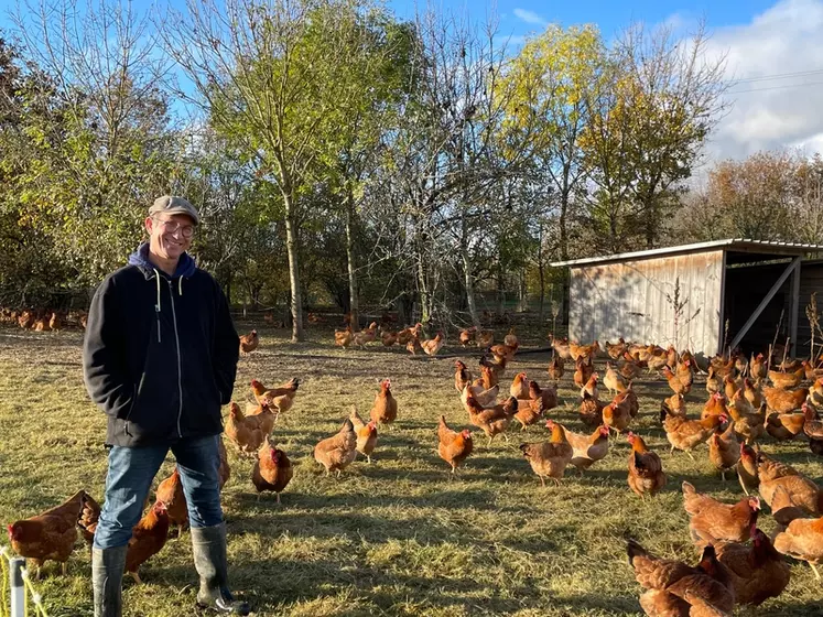 Nicolas Petit a initié l’agroforesterie sur la Ferme en Coton pour son élevage de volailles de chair et de poules pondeuses, il y a vingt ans.