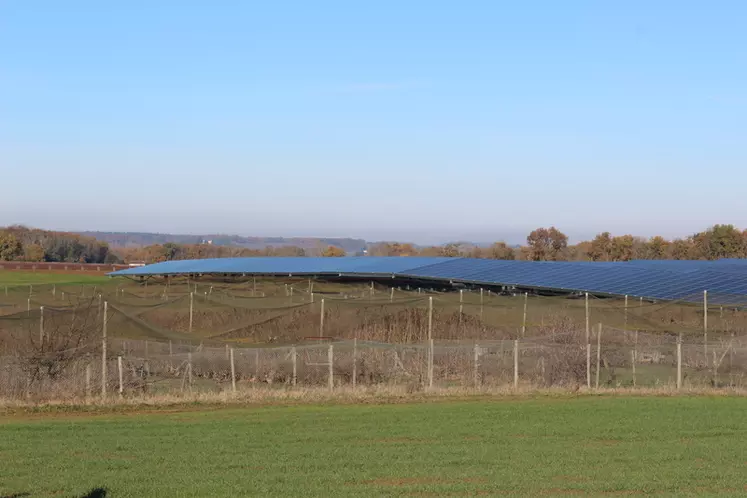 Élevant 130 000 faisans et 50 000 perdreaux sur 42 hectares de volières à Loubes-Bernac, Pascal Tarrisse a fait recouvrir 8 ha en ombrières photovoltaïques.